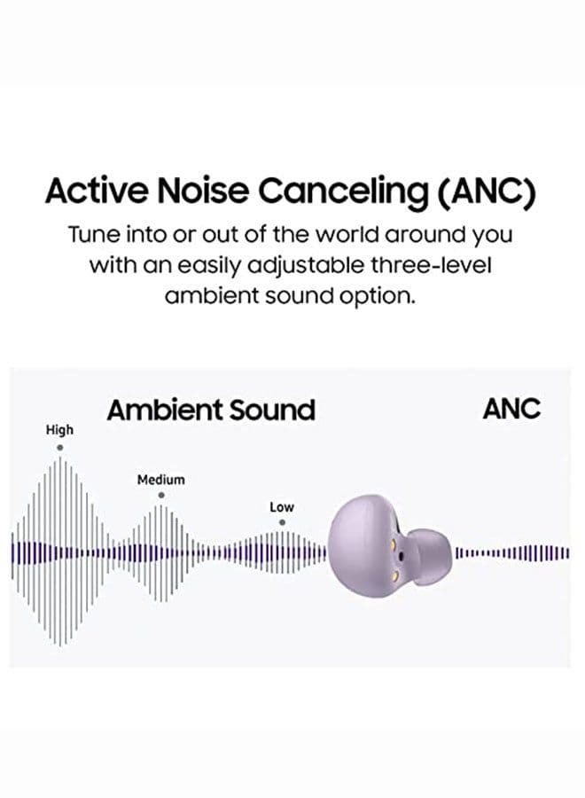 Galaxy Buds 2 Graphite